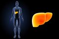 這 4 種瘦子也會得脂肪肝！注意，從脂肪肝到肝癌只需要4步